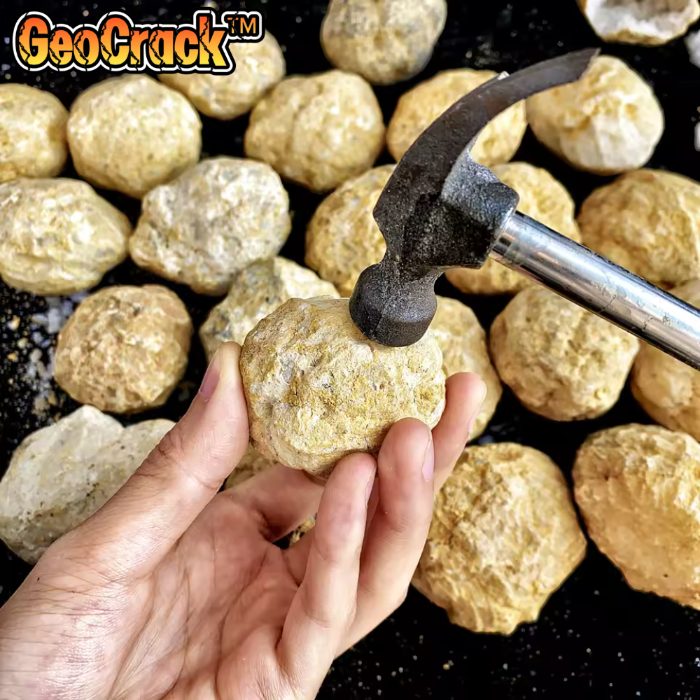 GeoCrack™