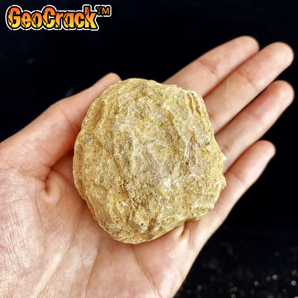 GeoCrack™
